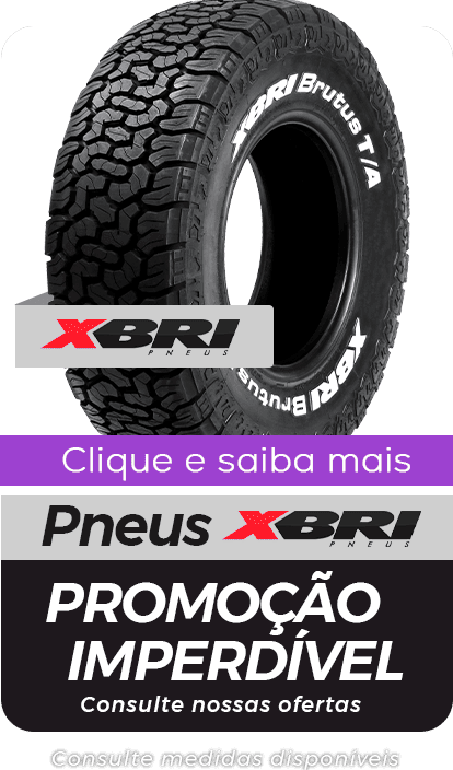 XBRI